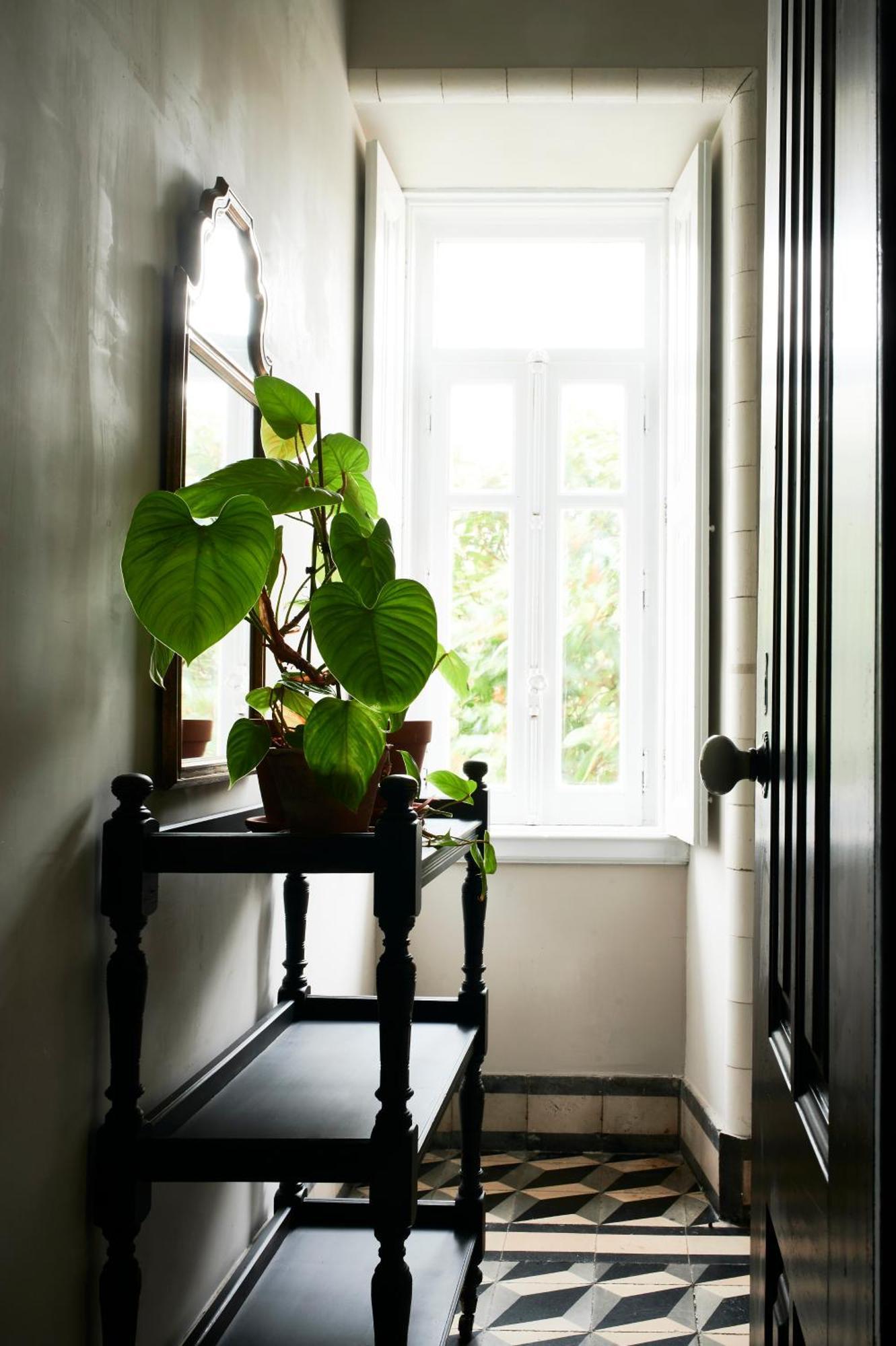 Vila Branca Guesthouse - Palacete 피게이라다포즈 외부 사진